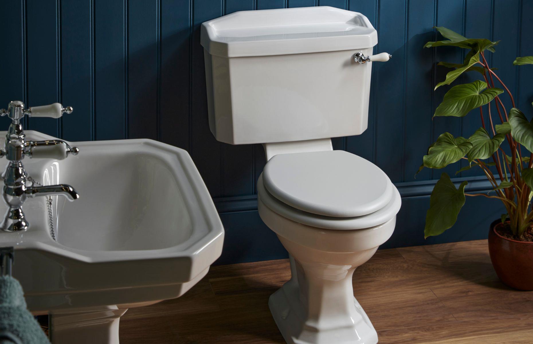 Les toilettes abritent plus de bactéries que n’importe quelle autre surface